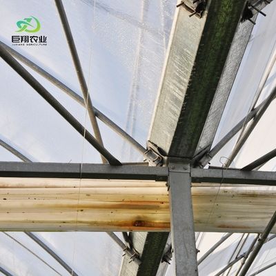 Serre agricole pour exploitation agricole à plusieurs étages hydroponique en film plastique