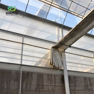 Serre agricole pour exploitation agricole à plusieurs étages hydroponique en film plastique
