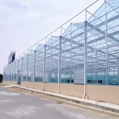 Oasis de serre en verre écologique pour les solutions de culture des plantes