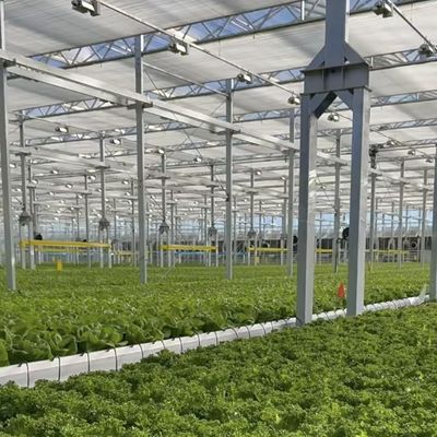 Oasis de serre en verre écologique pour les solutions de culture des plantes