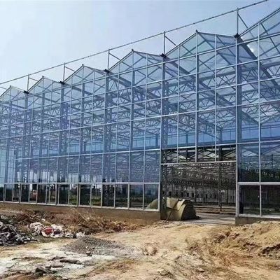 Oasis de serre en verre écologique pour les solutions de culture des plantes