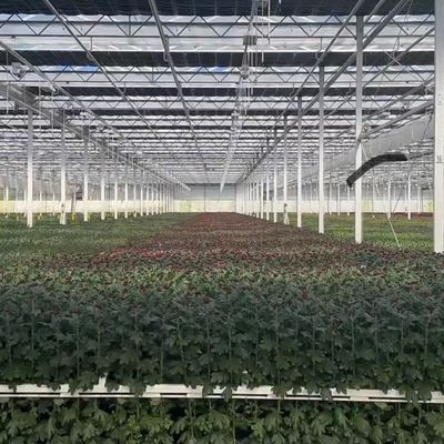 Oasis de serre en verre écologique pour les solutions de culture des plantes
