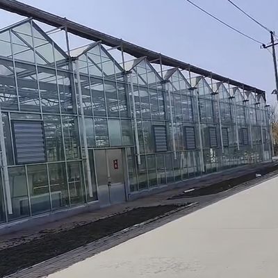 Serre pour la culture des légumes et des fleurs 50,00 cm * 60,00 cm * 80,00 cm Taille du paquet