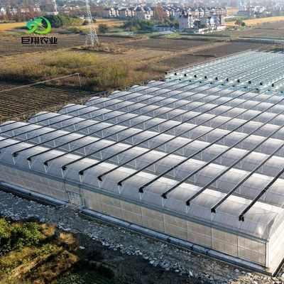 Serre à toit en PE pour les légumes Tomates concombre Fraise Versatile et personnalisable