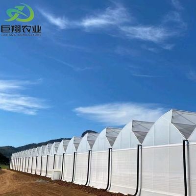 Serre à toit en PE pour les légumes Tomates concombre Fraise Versatile et personnalisable