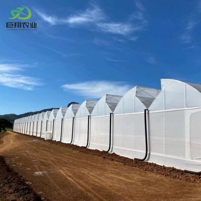 Serre à toit en PE pour les légumes Tomates concombre Fraise Versatile et personnalisable