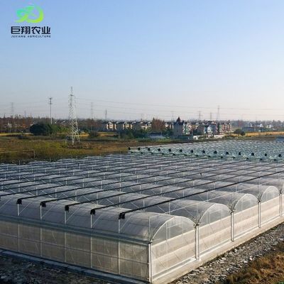 Serre à toit en PE pour les légumes Tomates concombre Fraise Versatile et personnalisable