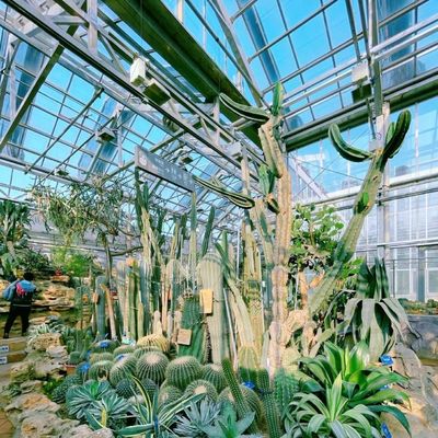 JX-A00133 Blossom Haven avec serre en verre Coût d'expédition et délai de livraison estimé