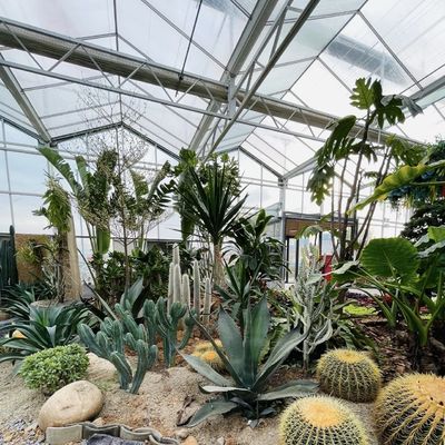100.000kg de paquetage Poids brut Serre en verre pour la culture hydroponique de fleurs