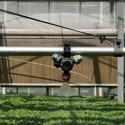 Serre en verre hydroponique à double couche pour la culture de fleurs abordable et durable