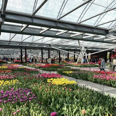 Serre en verre hydroponique à écran d'ombrage multiple pour les fleurs US JX-A00249