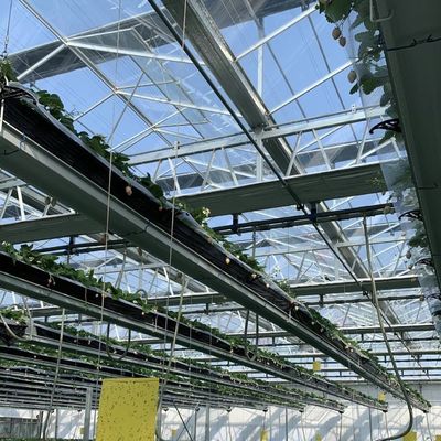 Serre à toit en verre commercial avec système hydroponique garantie de 30 jours