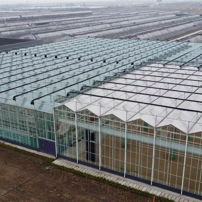 Serre en verre à goutte à goutte polyvalente et personnalisable pour la culture de fleurs