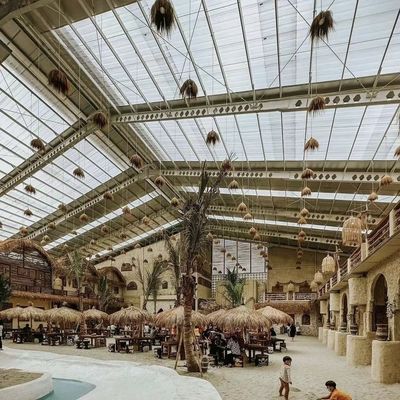 Taille de l'emballage Serre en verre de 50,00 cm * 60,00 cm * 80,00 cm pour la culture hydroponique des fleurs