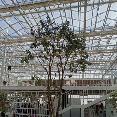 Obtenez une serre en verre creux pour la culture de fleurs Retour de remboursement offert
