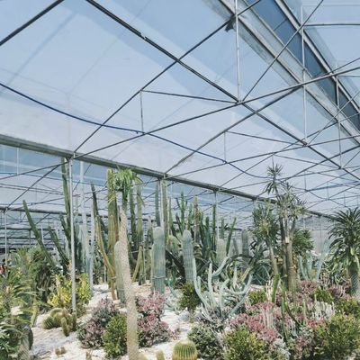 Obtenez une serre en verre creux pour la culture de fleurs Retour de remboursement offert
