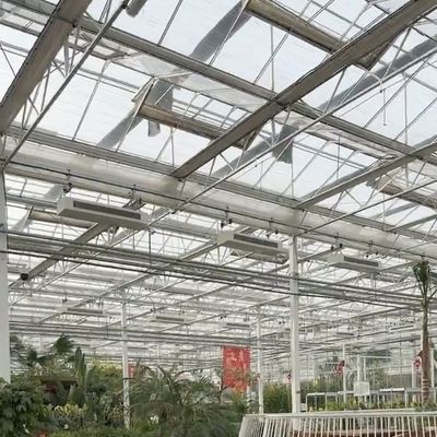 Serre hydroponique en verre à haute transmission lumineuse pour la culture commerciale de fleurs