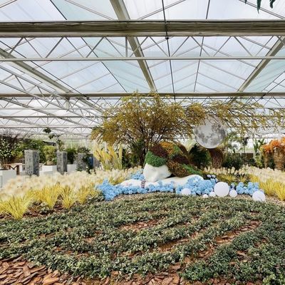Serre en verre d'origine chinoise pour la culture de fleurs