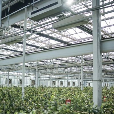 Écran d'ombrage Serre en verre hydroponique pour la culture de fleurs dans un toit de type