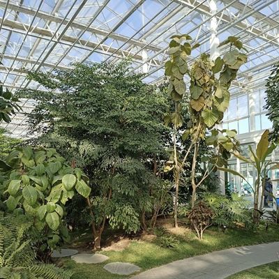 Système d'hydroponie de serre en verre pour la culture de fleurs