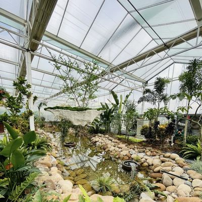 Système hydroponique de fleurs dans la structure en acier Serre en verre flottant avec personnalisation