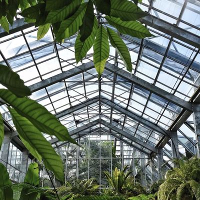 Système hydroponique de fleurs dans la structure en acier Serre en verre flottant avec personnalisation