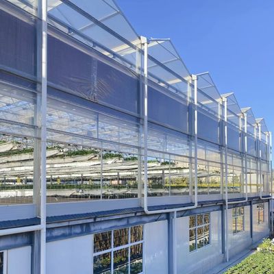 Serre commerciale hydroponique personnalisée de type a pour la culture et l'agriculture des fleurs