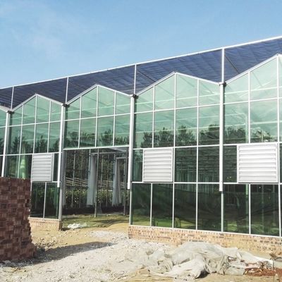 Serre en verre pour la culture des fleurs, ensemble de 100 000 kg de poids brut et un toit de type
