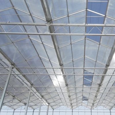 Serre en verre à structure en acier pour une construction solide et robuste