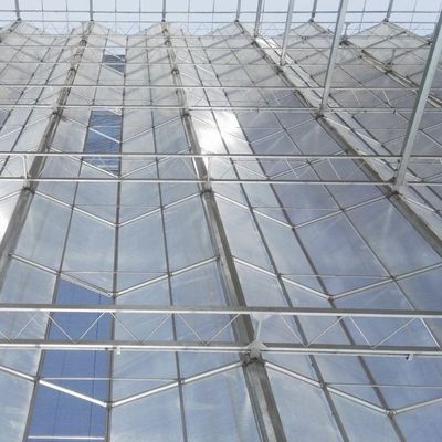 Serre à toit en verre pour la culture de fleurs Paiement initial et frais d'expédition abordables