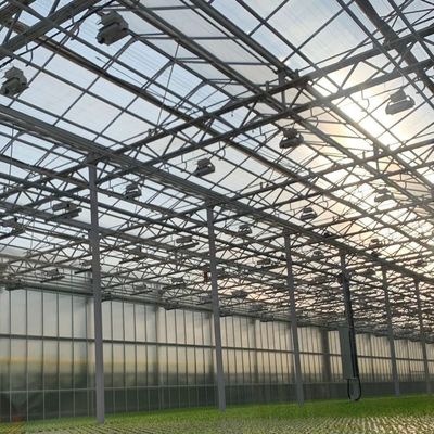 Installation hydroponique de serre commerciale en verre à haute transmission lumineuse pour paiement intégral
