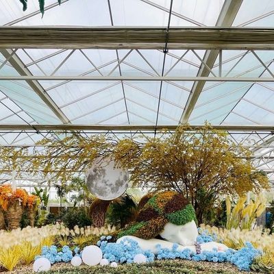 Serre en verre à couche unique pour l'agriculture des légumes
