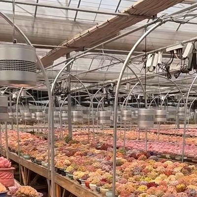 Serre en verre flottant pour légumes conception sur mesure acceptée