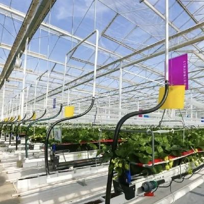 Système hydroponique de serre en verre à écran d'ombrage pour une culture optimale