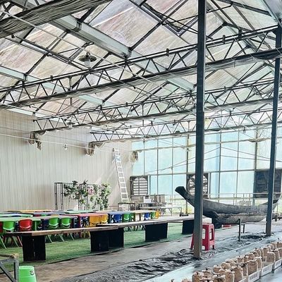 Payeur initial Serre en verre d'origine chinoise avec système hydroponique à longue portée