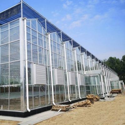 Demande personnalisée de serre à goutte-à-goutte en verre d'irrigation