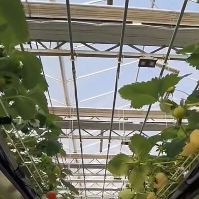 Installation hydroponique de végétaux en serre en verre Coût d'expédition et délai de livraison estimé