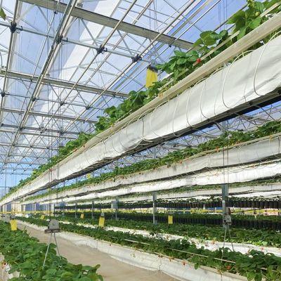 Installation hydroponique de végétaux en serre en verre Coût d'expédition et délai de livraison estimé