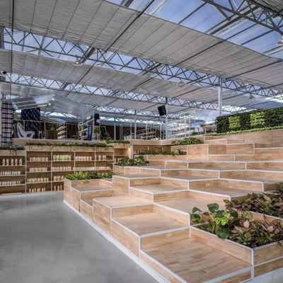 Grande serre en verre: l'environnement idéal pour la culture hydroponique des légumes