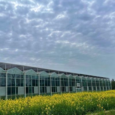 Une serre en verre élégante et des légumes hydroponiques améliorent l'efficacité de votre agriculture