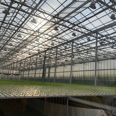 Une serre en verre élégante et des légumes hydroponiques améliorent l'efficacité de votre agriculture