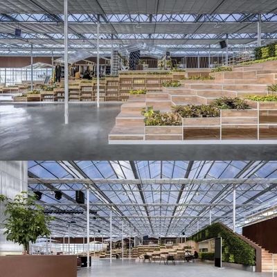 Serre en verre à structure en acier pour la culture végétale