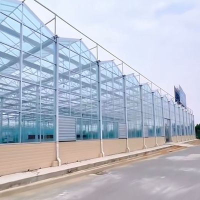 Serre en verre d'origine chinoise avec emballage de légumes hydroponiques Poids brut 80 000 kg