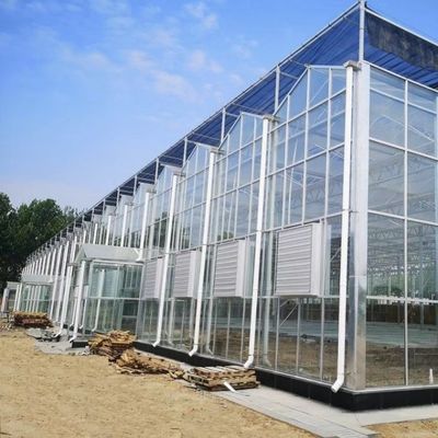 Système hydroponique de serre en verre à prix raisonnable pour une utilisation maximale de l'espace