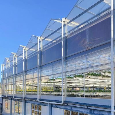 Système hydroponique végétal en serre en verre pour une efficacité maximale de l'eau