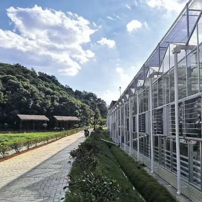 Système hydroponique végétal en serre en verre pour une efficacité maximale de l'eau