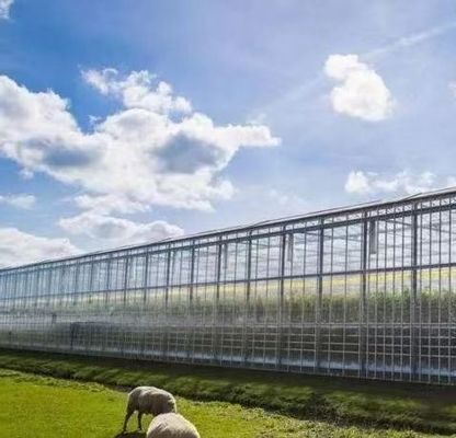 Serre en verre hydroponique avec système d'écran d'ombrage