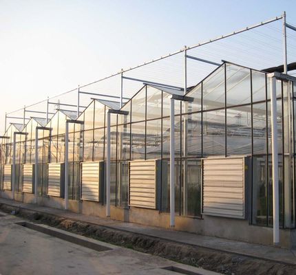 Serre en verre hydroponique avec système d'écran d'ombrage