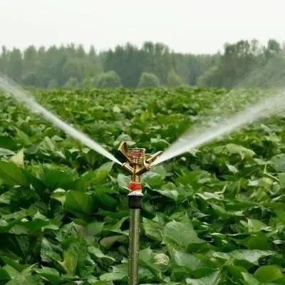 Serre en verre hydroponique avec système d'écran d'ombrage