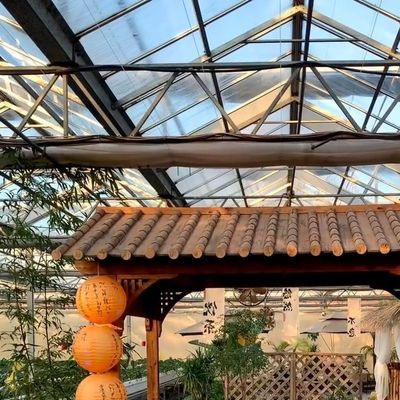 La culture de légumes hydroponiques avancés dans de grandes serres en verre